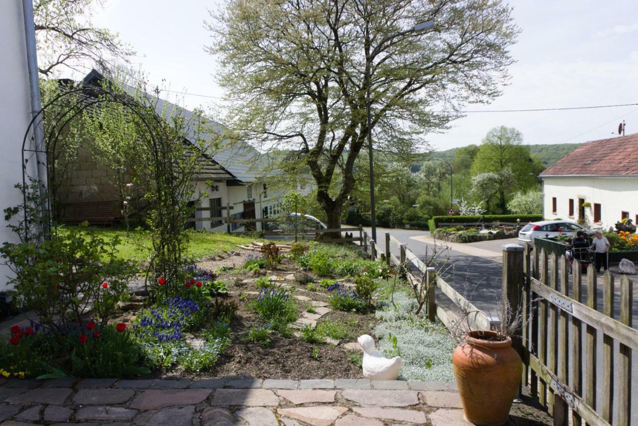 Ferienhaus Vulkaneifel Landhaus Loogh Kerpen  Luaran gambar