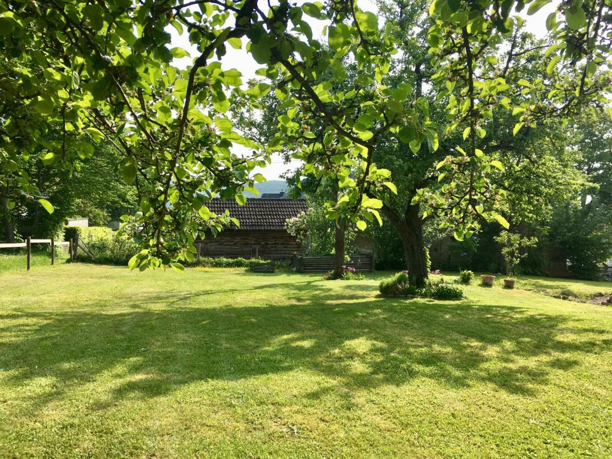 Ferienhaus Vulkaneifel Landhaus Loogh Kerpen  Luaran gambar